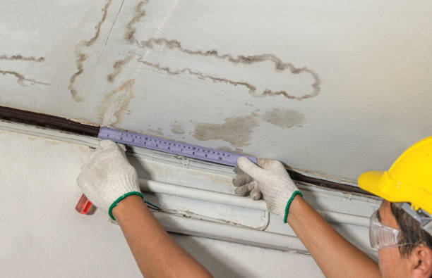 Reliable Water Damage contractor in Gagetown, MI by Water Damage Irwin